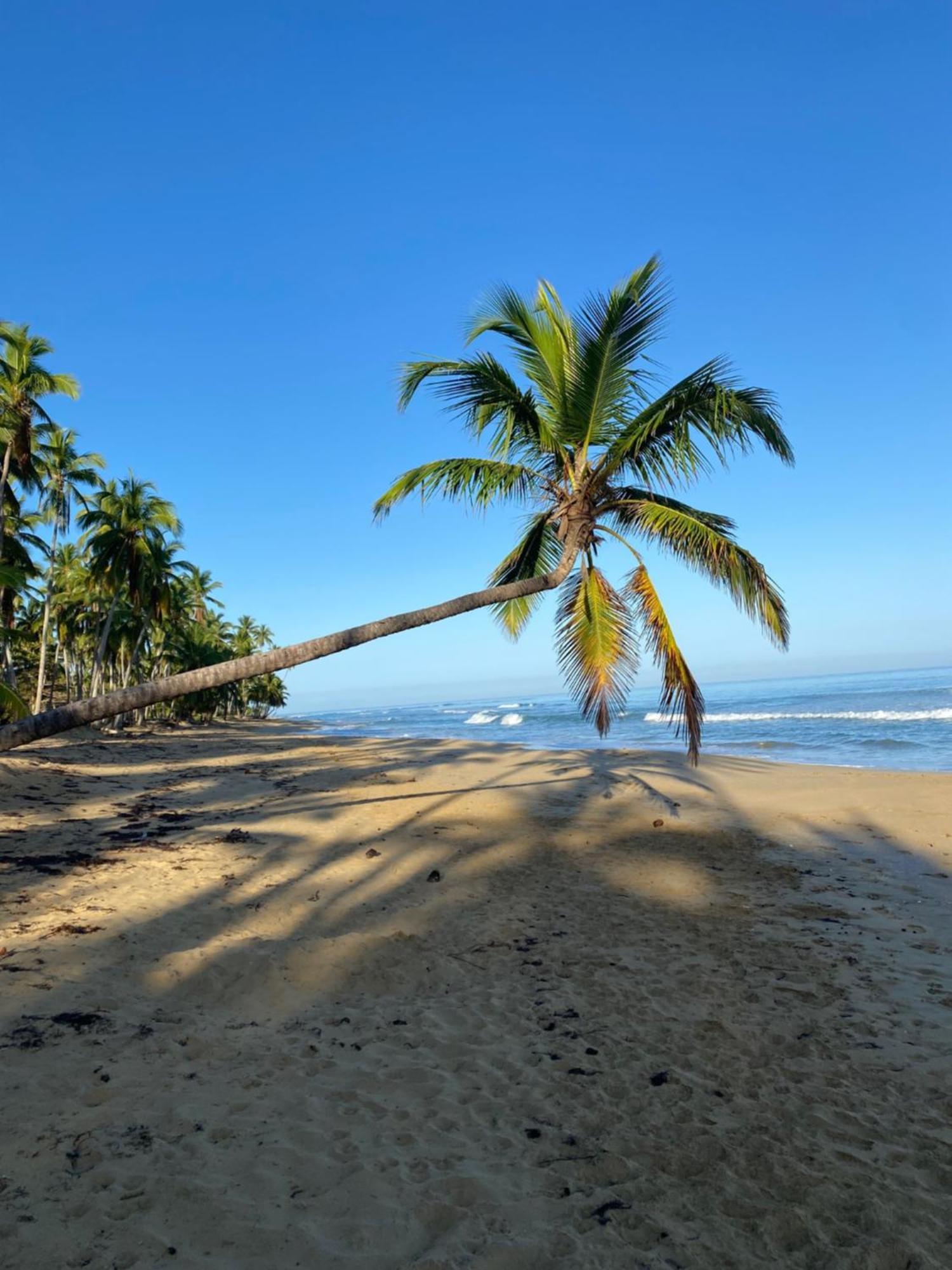 Hotel Casa Coson Las Terrenas Eksteriør bilde